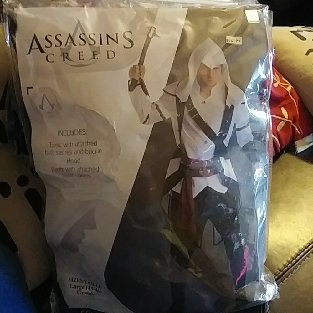 Assassin Creed Costume